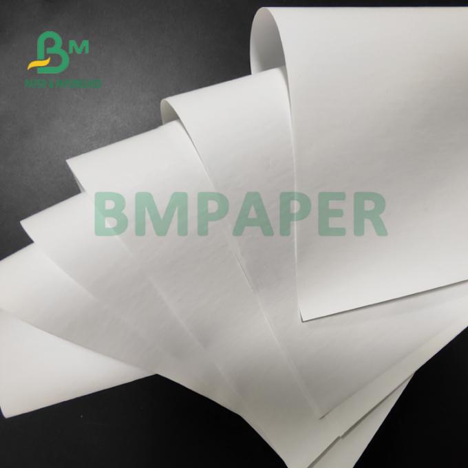 Thermopapier des riesiges Rollen55gsm für Positions-Drucker 565mm x 6000m gute Härte