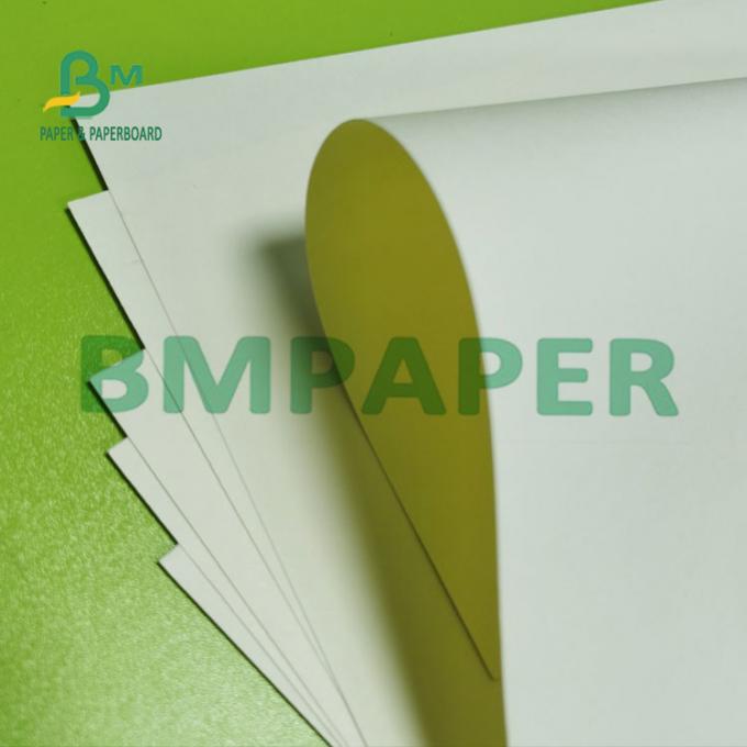 beschichtete Seiten-PET 180g eins natürliches weißes Schalen-Vorrat-Schüssel-Papier in Rolle (1)