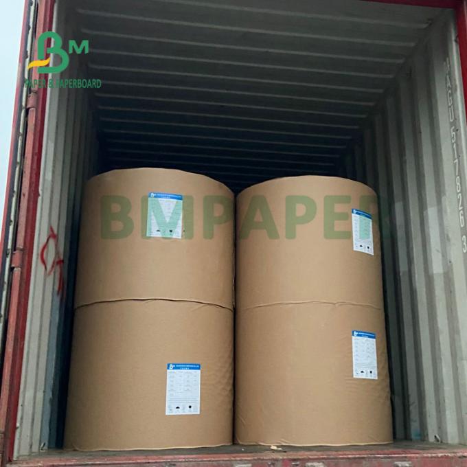 230gsm + 15 PET Matt Laminated Cupstock Paper Roll für heiße Getränke 882mm
