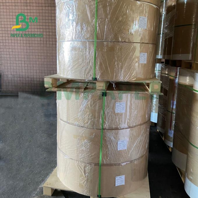 Fettdicht PET 230gsm + 15g Brotdose-Papier für schnelle Lebensmittelverpackung 700mm