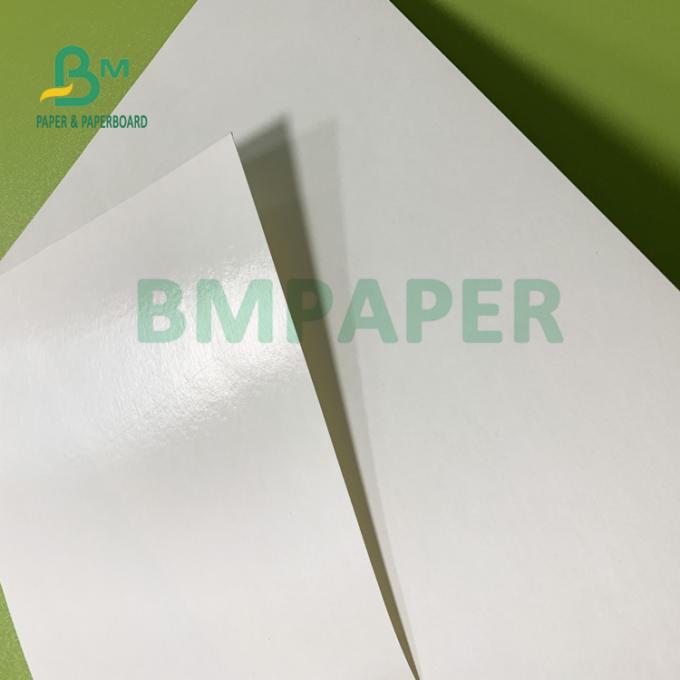 Nahrung150gsm + 10gsm sichere PET überzogene Schalen-Rohpapier für das Trinken