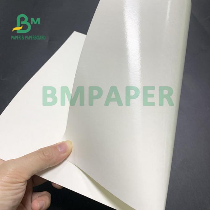 Simplex 180gsm + 18gsm PET beschichtete Schalen-Papier-Blätter imprägniern