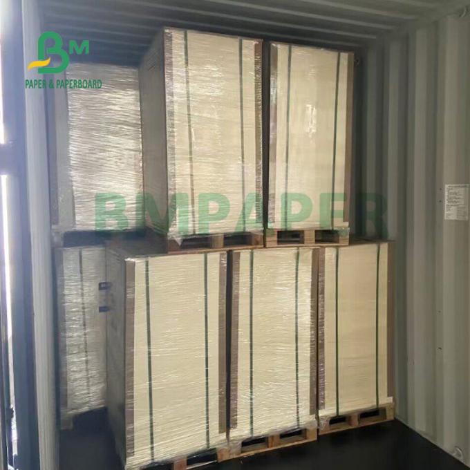 Haltbarkeit 230gsm+15gsm PET beschichtete Schalen-Vorrat-Papier für Suppenschüssel 560mm x 700mm