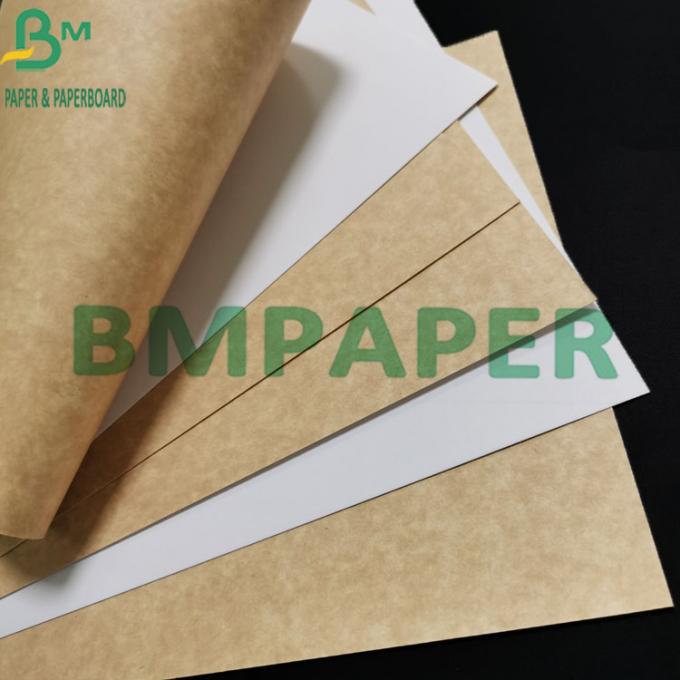 Grad der Nahrung300gsm beschichtete weißes Kraftpapier mit Brown zurück für Nahrungsmittelbehälter