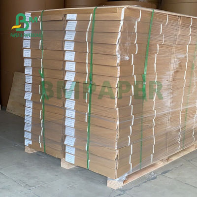 24&quot; Plan-Plotter-Papier-Rolle X.500 Ft für CAD, der 80gsm druckt
