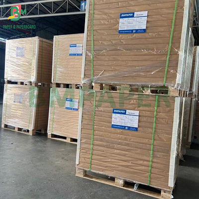 270 gm FBB-Blatt für Medizin 600 x 900 mm Faltebeständig