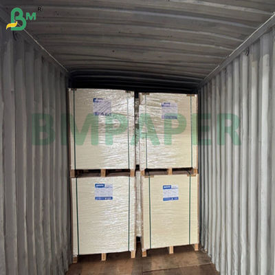 240 g/m² +15PE mattes CupStock-Papier zur Herstellung von Popcorn-Eimern 61 x 86 cm