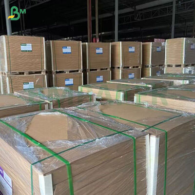 260GSM+ 18GSM FDA-abbaubares Bambus-Kraftpapier mit PE/PLA-beschichtetem Becherpapier