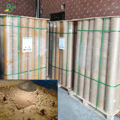 40 g/m² bis 110 g/m² braunes, saugfähiges Geflügel-Kükenpapier in 34 Zoll und 36 Zoll Breite