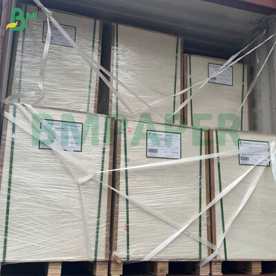 300 g/m² ungebleichtes Zuckerrohr-Bagasse-Zellstoffpapier, biologisch abbaubar, zertifiziert, 787 mm x 1092 mm