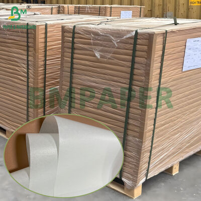 42gsm 45gsm Non-Stick White Silicone Paper Sheet 500mm X 600mm for Air Fryer Use