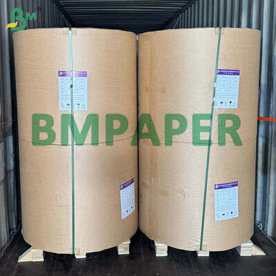 C1S 80gm Einseitig glänzend beschichtetes Papier für Teebeutel