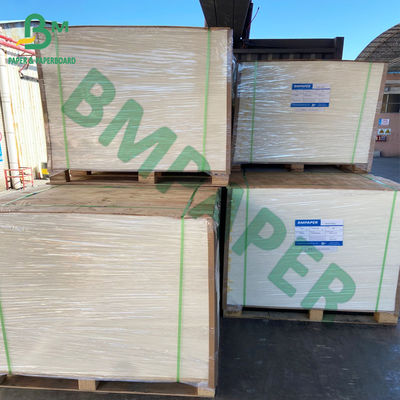 Schalen-Karton des Nahrungsmittelgrad-100gsm weißer für Kegel-Schalen-Material