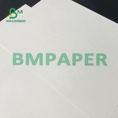 Schalen-Vorrat-Papierrollenweiße Farbe 100gsm 120gsm für Kegel-Schale