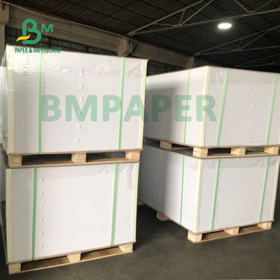 Simplex PET beschichtete Schalen-Papier 180gsm + 15gsm mit guter Gefügigkeit