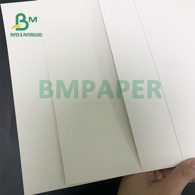 Hohe Seite des Futtermittel-Grad-Nahrungsmittelpackpapier-Brett-eins beschichtete Eco freundliches 325gsm