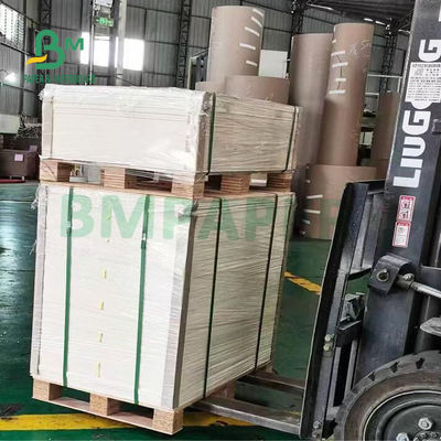 Flexibles hohes Glattheits-Zeitungspapier-Papierrolle für die Verpackung des Gemüses