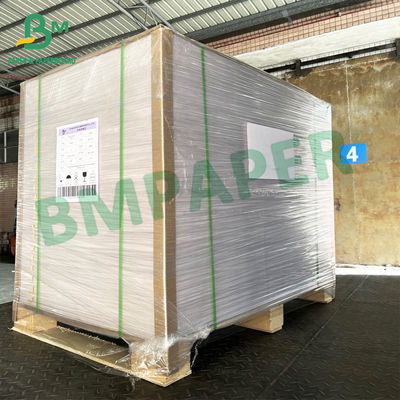 PET 250g + 15g gestrichene Papiere für Pappteller-Schalen rollt Geschirr