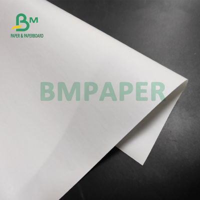 Thermopapier des riesiges Rollen55gsm für Positions-Drucker 565mm x 6000m