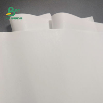 freie Thermopapier-Rolle 65gsm BPA für Registrierkasse-klares Bild 600mm x 9000m