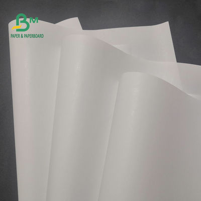 freie Thermopapier-Rolle 65gsm BPA für Registrierkasse-klares Bild 600mm x 9000m