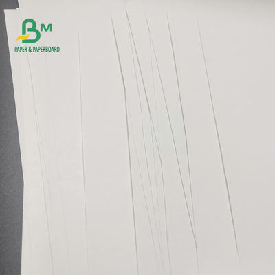 freie Thermopapier-Rolle 65gsm BPA für Registrierkasse-klares Bild 600mm x 9000m