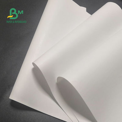 freie Thermopapier-Rolle 65gsm BPA für Registrierkasse-klares Bild 600mm x 9000m