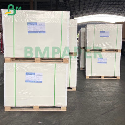 rollen 420 Mikrometer 250gsm das Gefrierschrank-Papier-Simplex, das für das Verpacken der Lebensmittel beschichtet wird