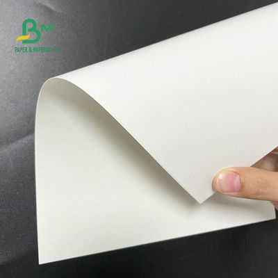 30 x 40 des Gefrierschrank-Papier-des Rollen12pt 14pt 18pt Zoll Weiß-C1S Artboard für verpackende Nahrung