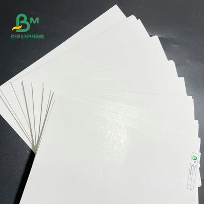 Eine Seiten-überzogener Gefrierschrank-Papierrolle 275gsm 325gsm für verpackende Nahrung