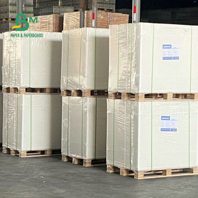 Eine Seiten-überzogener Gefrierschrank-Papierrolle 275gsm 325gsm für verpackende Nahrung