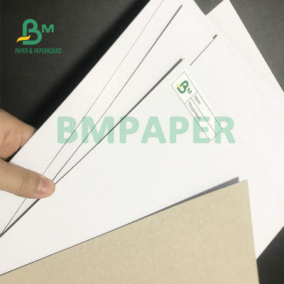 200gsm - überzogenes Brett-hohe Steifheit des Duplex-500gsm für Verpackungs-Kasten