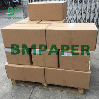 Thermisches BPA Anzeigenblatt Rolls 48g des hinteren Druck-für kleine Karte