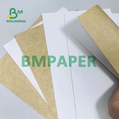 Hohe sperrige CCKB-Pappe mit weißer Spitzen-Kraftpapier-Rückseite 250G 270G 300G