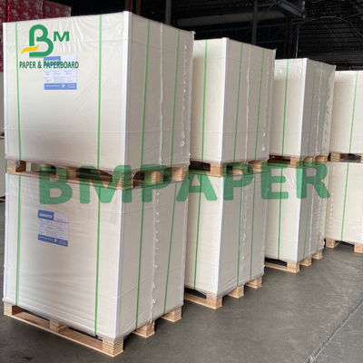 Blatt 300gsm 450µM Blister Board Paper für das Hardware-Blasen-Verpacken