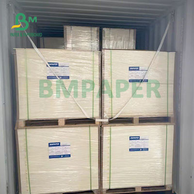 Safe druckte gebleichten Schalen-Karton für heißen und Eis-Trinkbecher 170gsm+ 18gsm