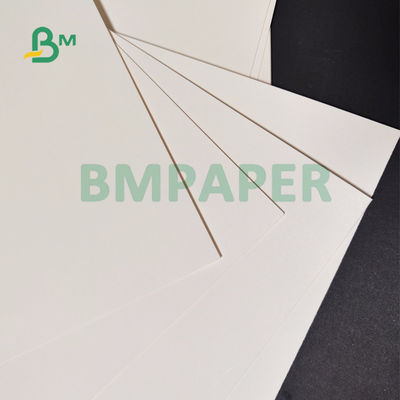 240gsm + PET 15 beschichtete Schalen-Papier für Getränkeschalen-gute Steifheit 70mm 85mm