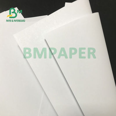 Offsetdruck-Papier 200gsm 230gsm für Broschüre 615mm x 912mm