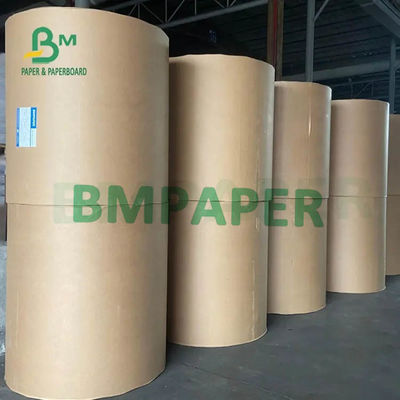 Weiße Schale Papier-Rolls 230g 250g 270g- + 15g-20g PET lamellierte eine Seite
