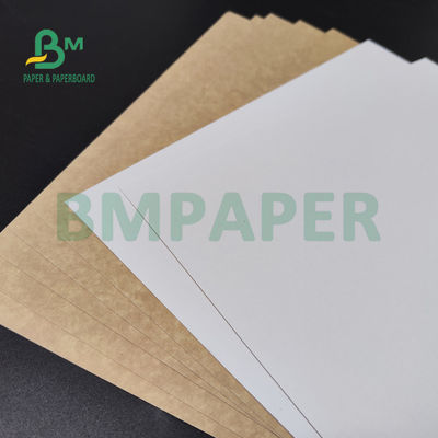 250gsm 300gsm C1S Kraftpapier zurück beschichtete Duplexbrett für Salat-Kasten-Nahrungsmittelsafe