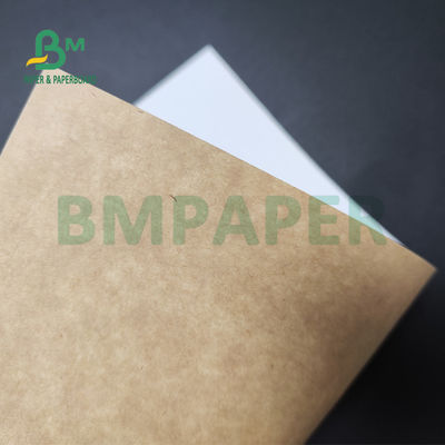 250gsm 300gsm C1S Kraftpapier zurück beschichtete Duplexbrett für Salat-Kasten-Nahrungsmittelsafe
