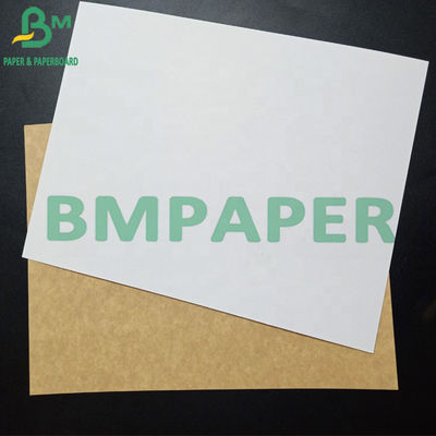 Seite des nicht giftiger Gefrierschrank-beschichtete Papierrolleneins Kraftpapier mit Brown zurück