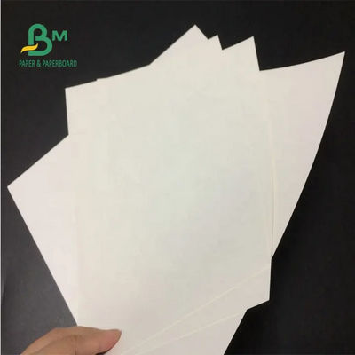 Jungfrau-weiße Kraftpapier-Rolle 24 x 35 Zoll 150gsm 170gsm 190gsm für Papiertüten