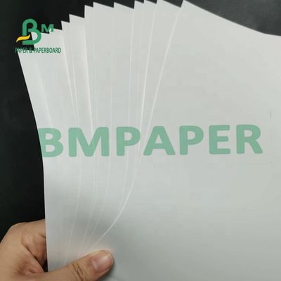 Tearable pp. synthetisches Papier Matte Surface For Maps 180um nicht