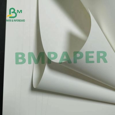 Tearable pp. synthetisches Papier Matte Surface For Maps 180um nicht