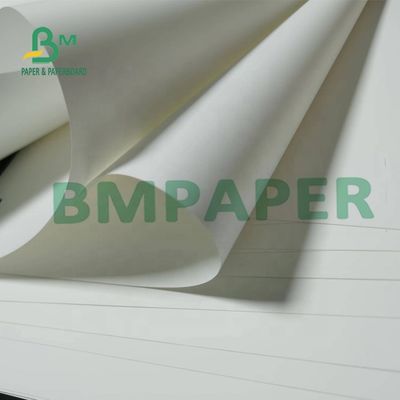 Tearable pp. synthetisches Papier Matte Surface For Maps 180um nicht