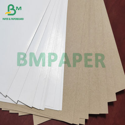 Weißes Spitzen-Clay Coated Kraft Liner Board-Papier 140g - 200g für Karton-Kasten