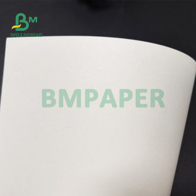 PET 210gsm +15g lamellierte Pappe für Papierschalen-Nahrungsmittelgrad 882mm