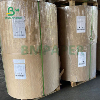 PET 210gsm +15g lamellierte Pappe für Papierschalen-Nahrungsmittelgrad 882mm