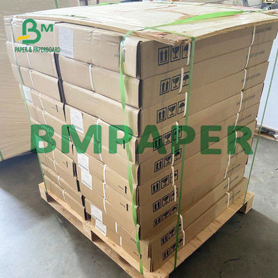 55-G-/Mthermischer Empfangs-Drucker Paper Rolls BPA frei für Position
